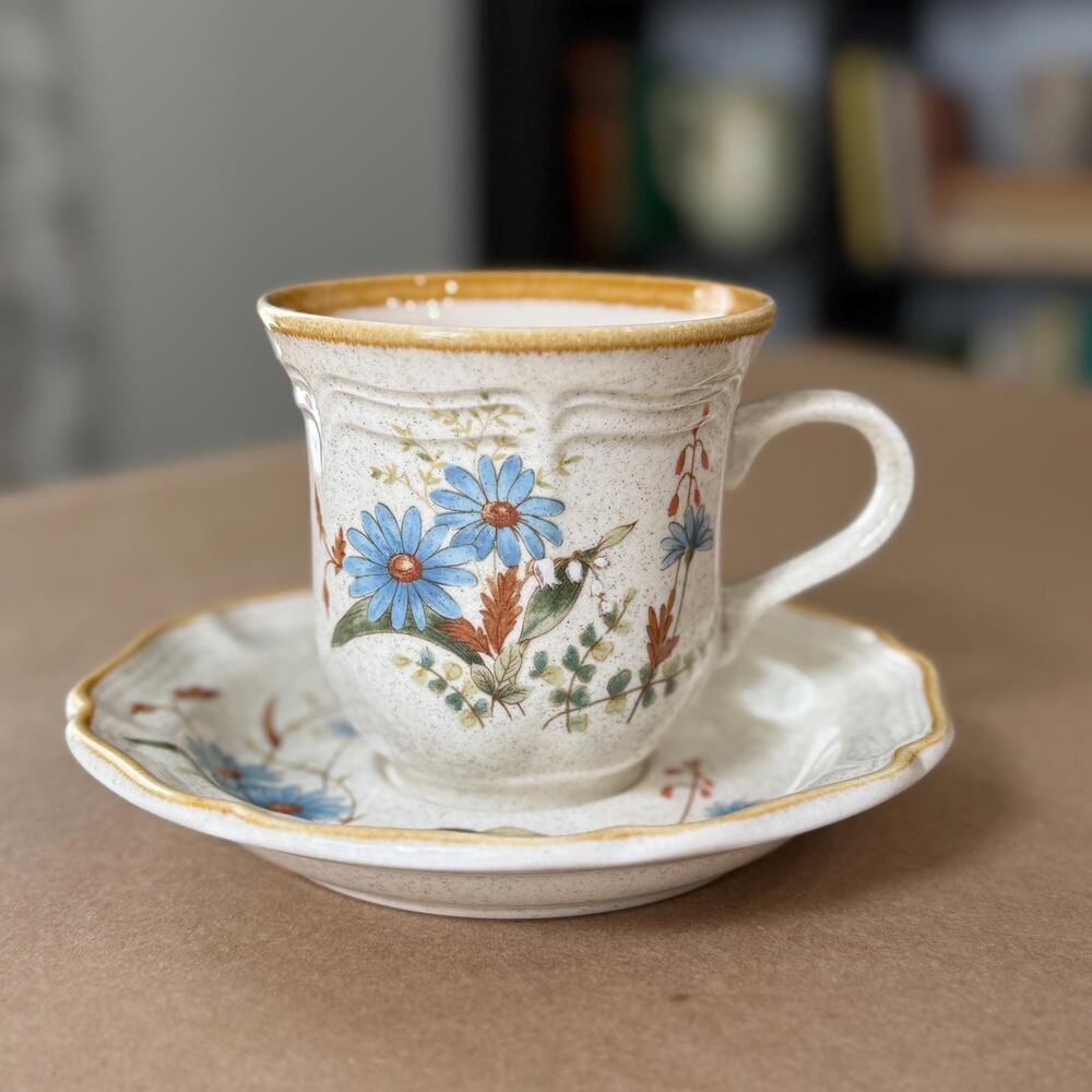 Vintage Mikasa EB804 Blue Daisies Cup & Saucer Set